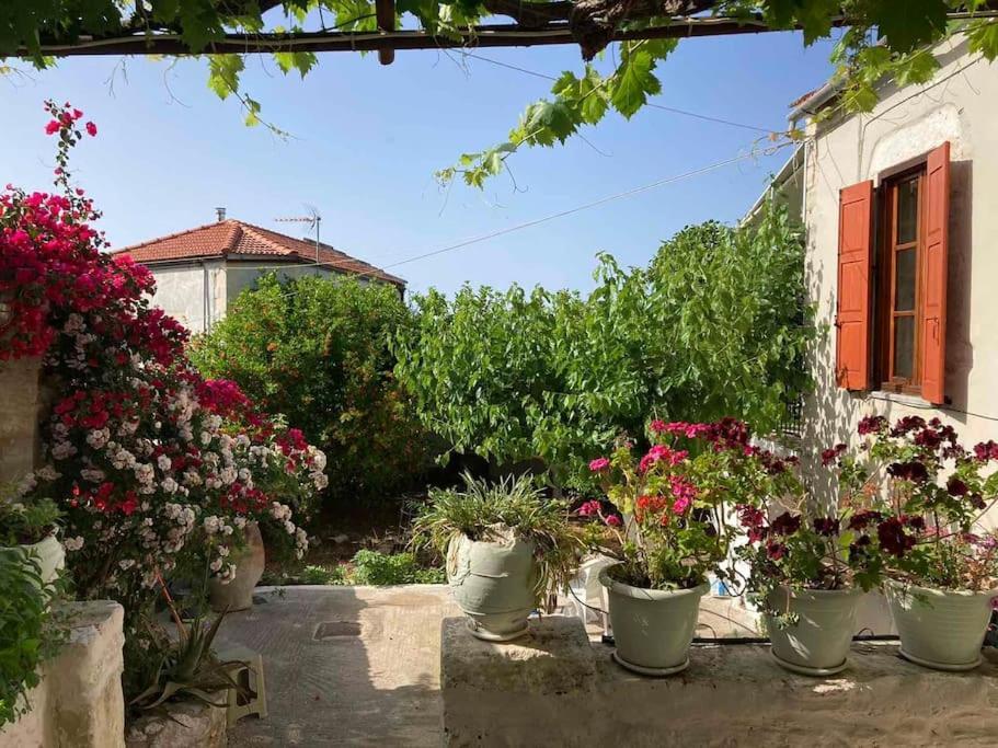 Hébergement de vacances Sergios