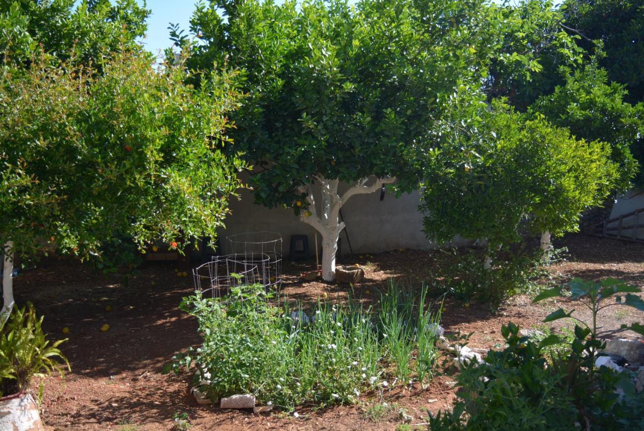 Sergios Vakantiehuis Chania (Crete)