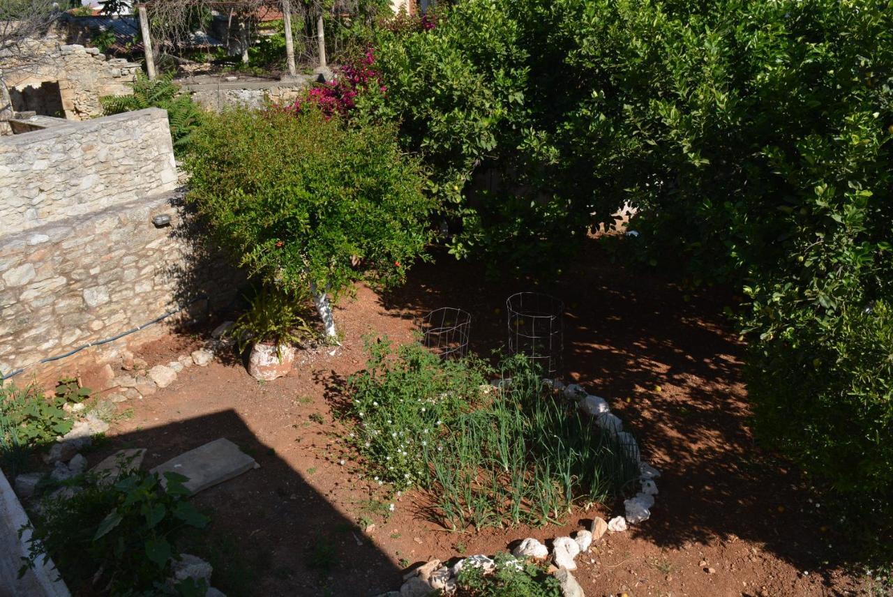 Vakantiehuis Sergios Chania (Crete)