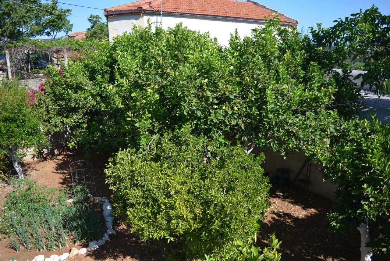 Tatil Evi Sergios