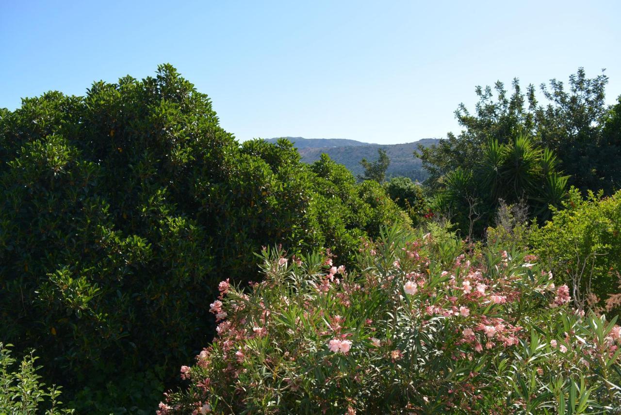 Sergios Tatil Evi