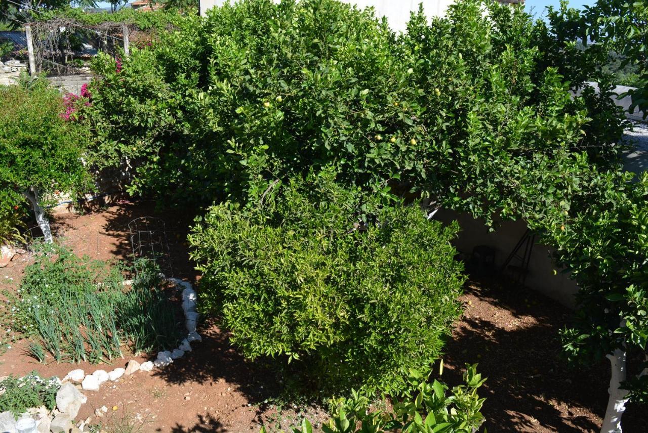 Tatil Evi Sergios