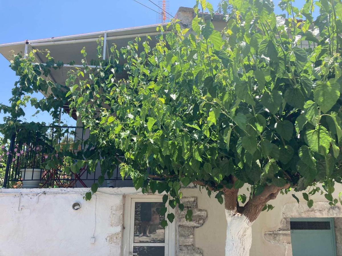 Tatil Evi Sergios Hanya
