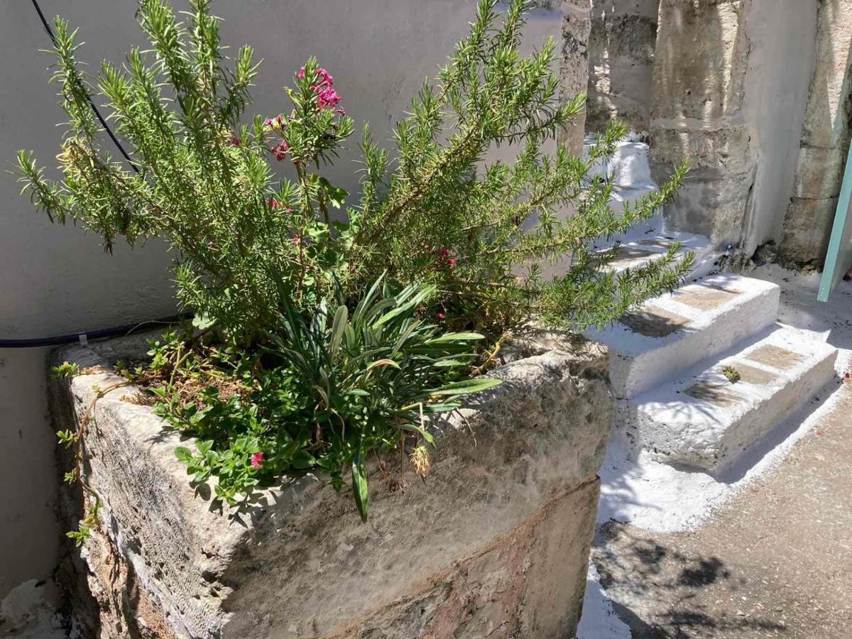 Tatil Evi Sergios
