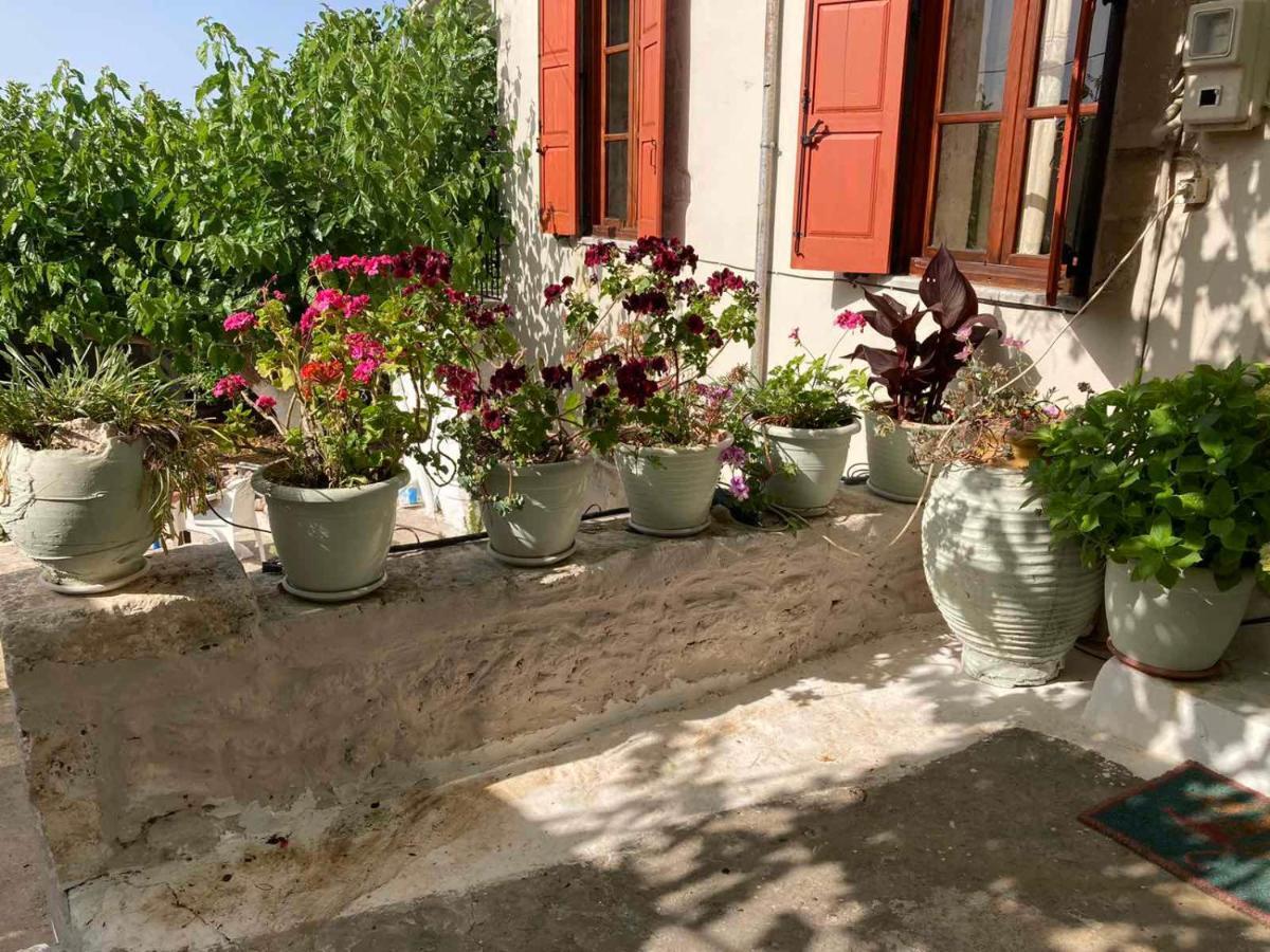 Sergios Tatil Evi