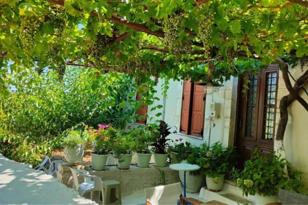 Sergios Tatil Evi