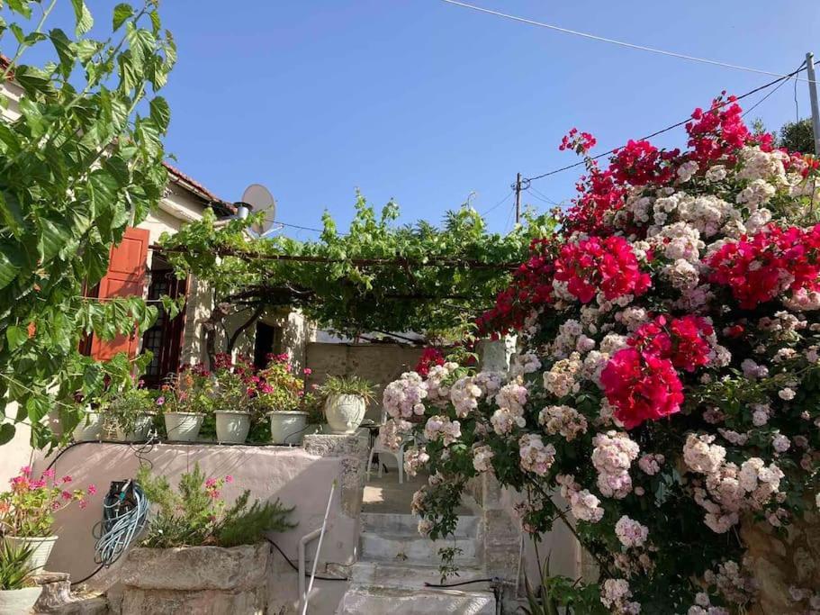 Sergios Tatil Evi