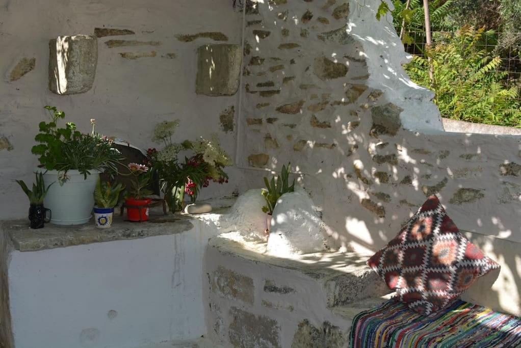 Sergios Tatil Evi *