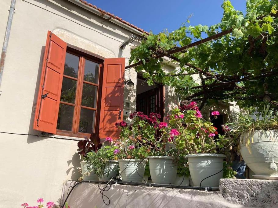 Tatil Evi Sergios *