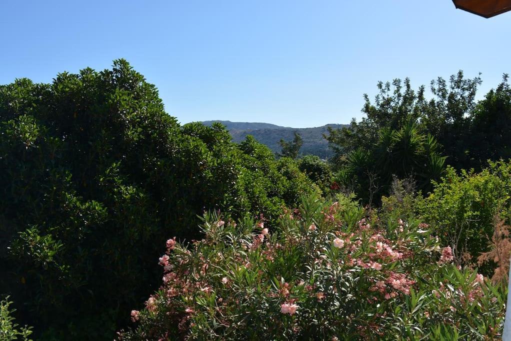 Sergios Tatil Evi