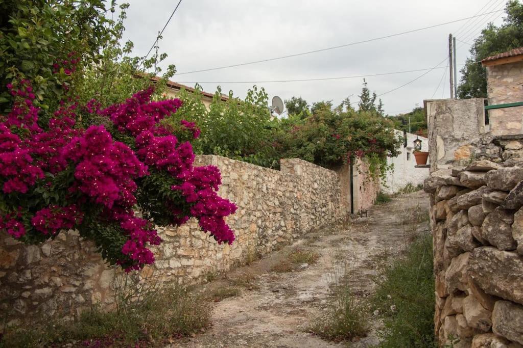 Tatil Evi Sergios *
