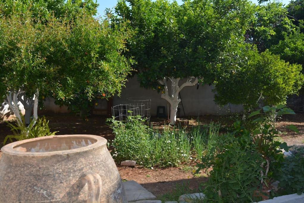 Tatil Evi Sergios